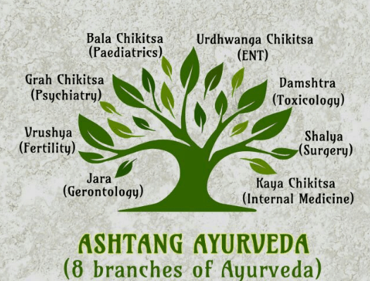 Eight Branches of Ayurveda