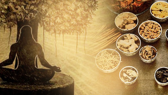 Ayurveda in India - A Brief Intro of Ayurveda:Origin & Branches of Ayurveda