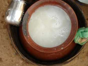 Apong-The rice beer :Tribes in Assam
