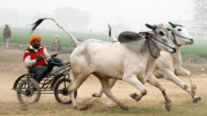 Kila Raipur – best place of rural tourism for the sports lovers