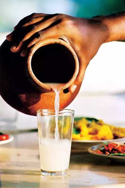 Toddy - a drink from palm trees in Andhra Pradesh