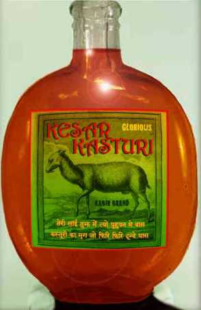 Kesar Kasturi - A royal drink among locals of Rajasthan