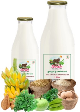 Annam Milk in Chennai