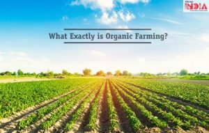 Organic Farming in India, Organic Farming Definition, Methods, & Benefits