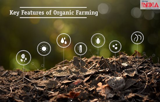 Key Features of Organic Farming