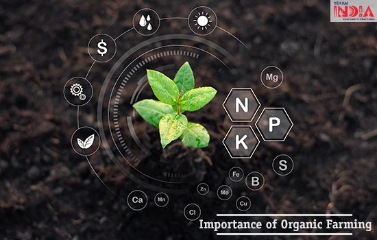 Importance of Organic Farming