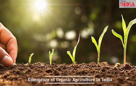 The emergence of Organic Agriculture in India