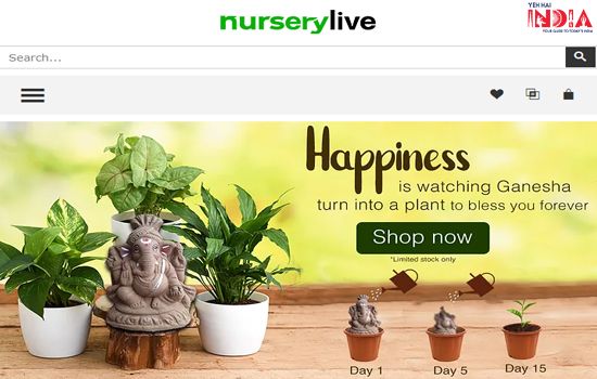 NurseryLive