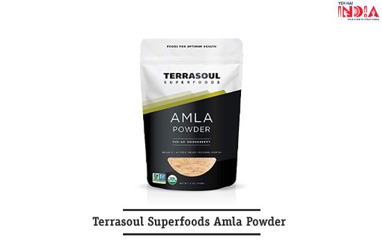 Terrasoul Superfoods Amla Powder