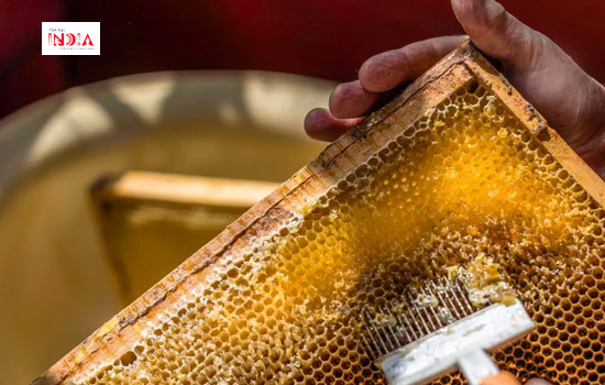 Benefits of Honey
