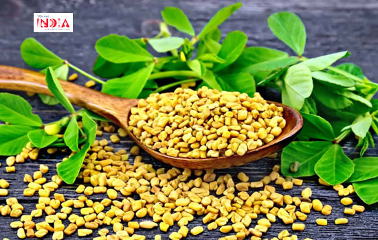 Fenugreek or Methi