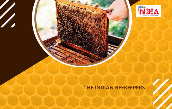 Indian Beekeepers - honey