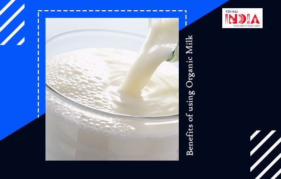 Benefits of Using Organic Milk