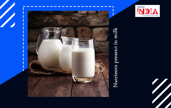 Nutrients present in milk
