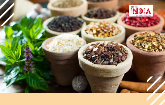 Why Ayurvedic Health Supplements?