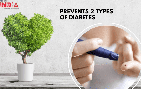 Prevent 2 Types of Diabetes and Helps Improve Kidney Functions