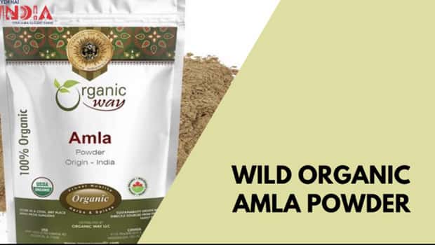 Wild Organic Amla Powder