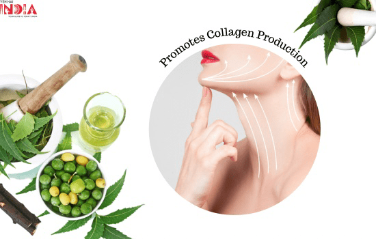 Promotes Collagen Production