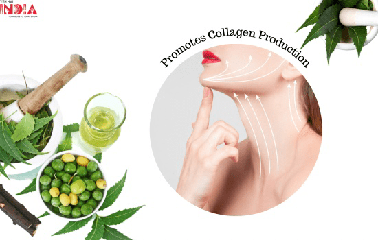 Neem Promotes Collagen Production