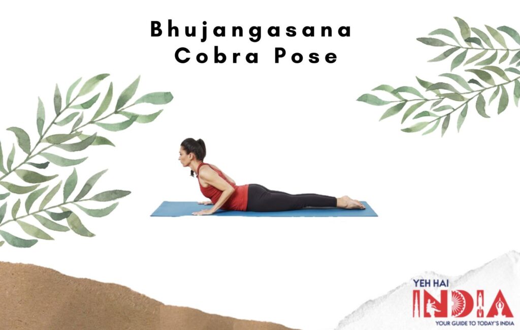 Bhujangasana – Cobra Pose