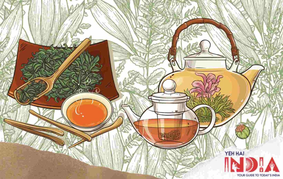 Top Herbal Teas in India - Best Herbal Tea Brands in India 2023