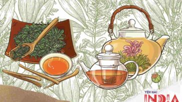 Top Herbal Teas in India