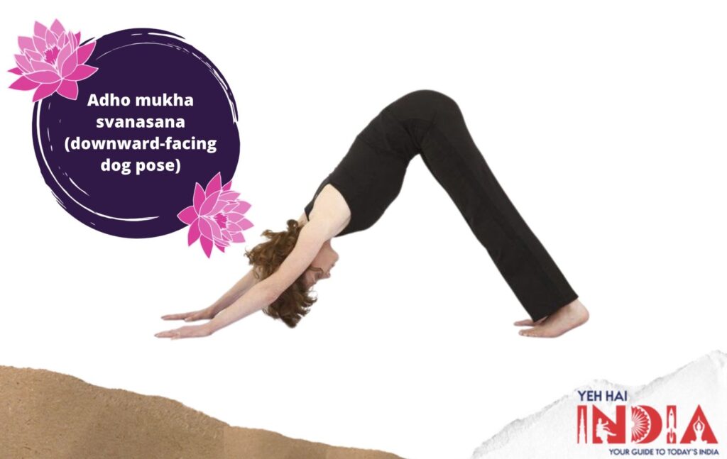 Adho mukha svanasana (downward-facing dog pose)