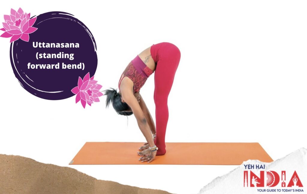 Uttanasana (standing forward bend)