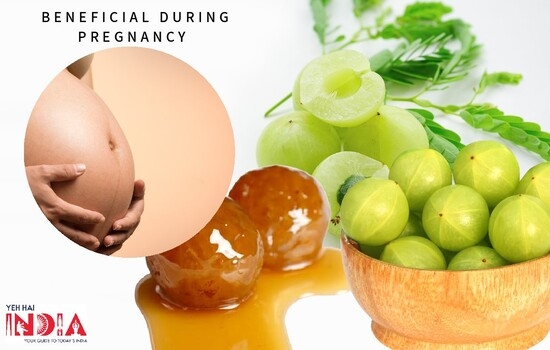 Amla Murabba is Beneficial During Pregnancy