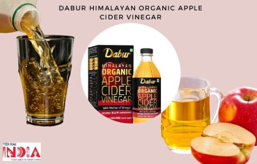 Best Organic Apple Cider Vinegars Brand in India 2022