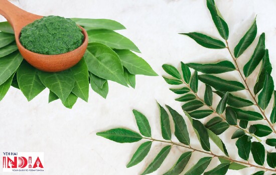 SOLUTIONS FOR MAINSTREAMING AYURVEDA