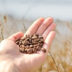 Edible Seeds With Great Health Benefits