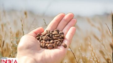 Edible Seeds With Great Health Benefits