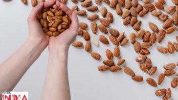 Top 10 Health Benefits of Eating Almonds