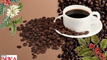 Best Coffees in india