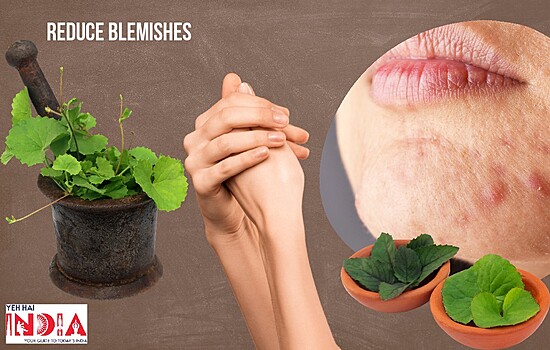 Skin Benefits Of Brahmi