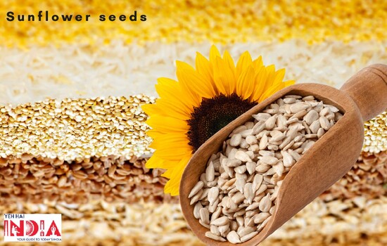 Sunflower Seeds