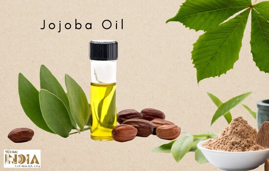 Jojoba Oil