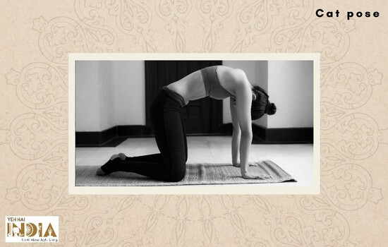 Cat/Cow Pose (Marjaryasana/ Bitilasana)