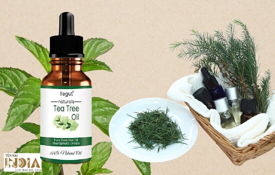 final Review on Tegut Tea Tree Essential Oil