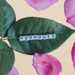 Mind techniques for Hormonal Balance