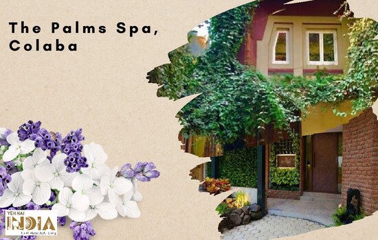 The Palms Spa, Colaba