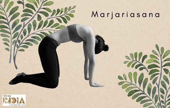 Marjariasana (Cat-Cow stretch)