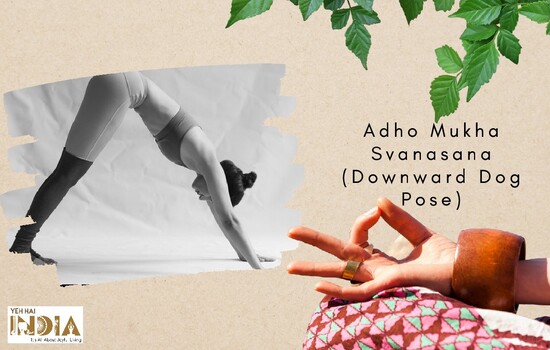 Adho Mukha Svanasana (Downward Dog Pose)