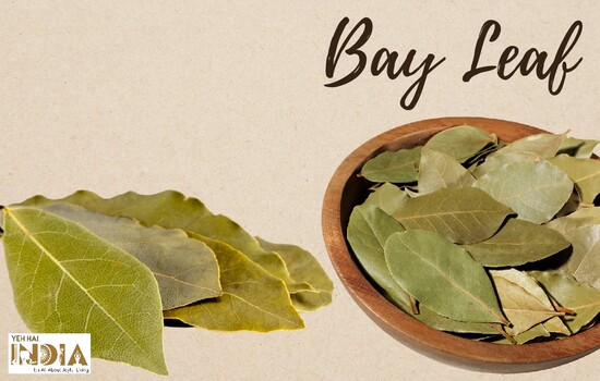 Bay Leaf