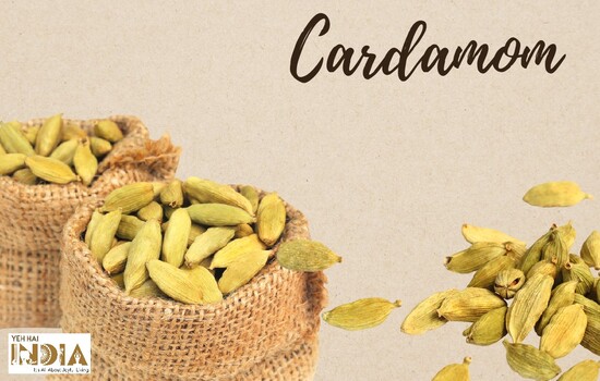 Cardamom