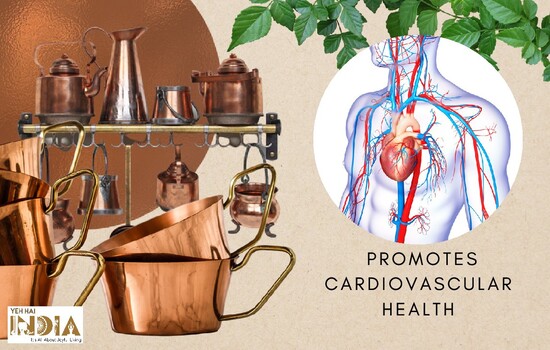 Copper is important for cardiovascular health