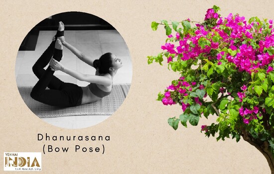 Dhanurasana (Bow Pose)