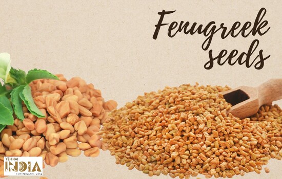 Fenugreek seeds