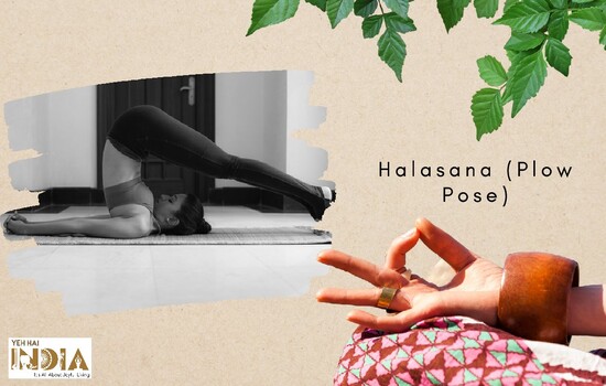 Halasana (Plow Pose)